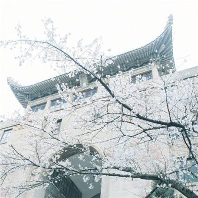 中央气象台：北京等地部分地区将有8级以上雷暴大风或冰雹